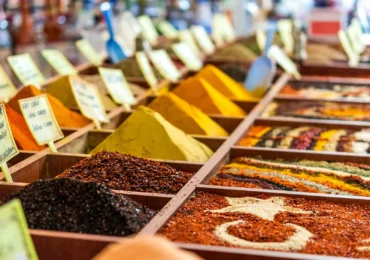 The Best Things to Do in Antalya for Families