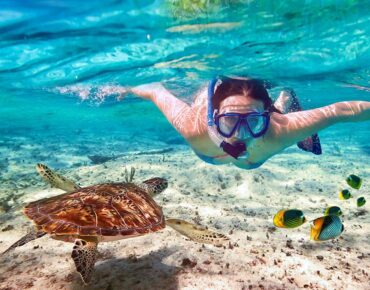 Red Sea Revelations: Snorkeling and Diving Tips in Popular Spots