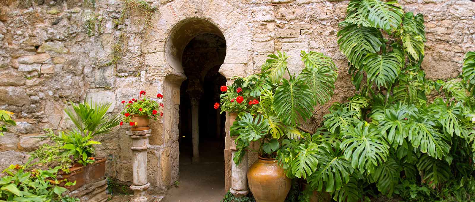 Palma de Mallorca’yı Keşfet: İspanya’nın Büyüleyici Mücevherine Detaylı Bakış