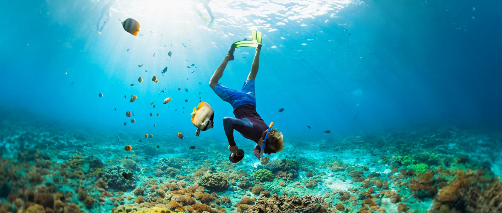 Entdecke das Rote Meer: Tipps zum Schnorcheln und Tauchen an beliebten Spots