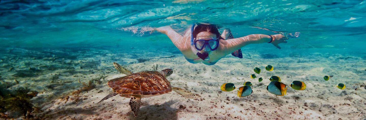 Kızıldeniz’in Sırları: Popüler Noktalarda Şnorkelle Dalış İpuçları