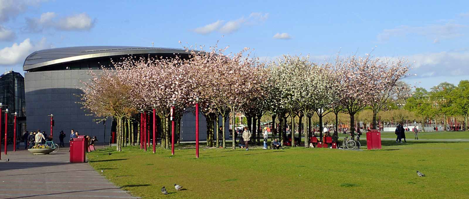 Amsterdam for First-Timers: What to Know Before You Go