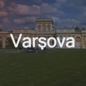 Anasayfa