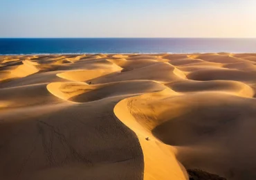 The Canary Islands in 5 Questions