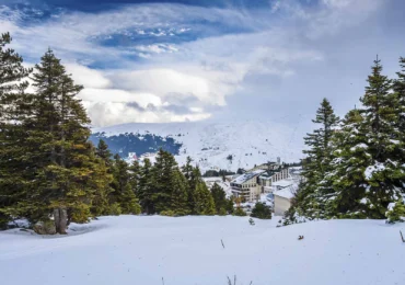 Winter Vacation Ideas