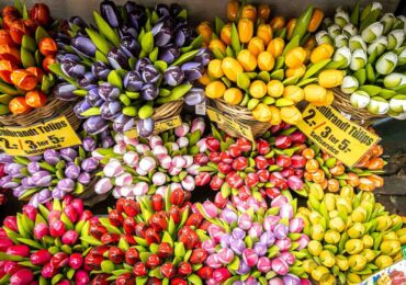 Things to Do in Amsterdam