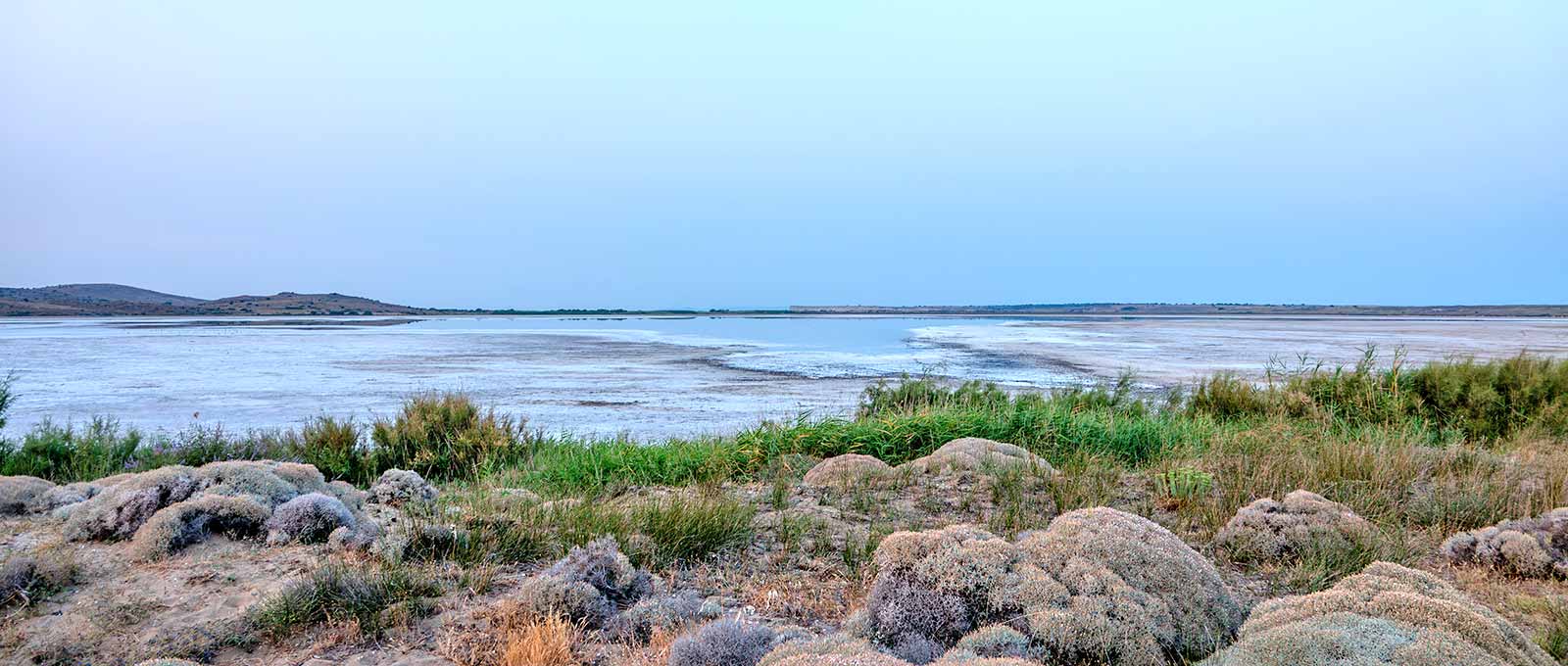 What Is a Blue Flag Beach?