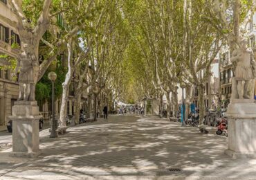 Mallorca Gezilecek Yerler