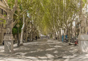 Mallorca entdecken – die besten Tipps