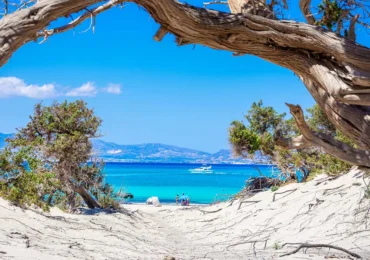 Summer Vacation Ideas
