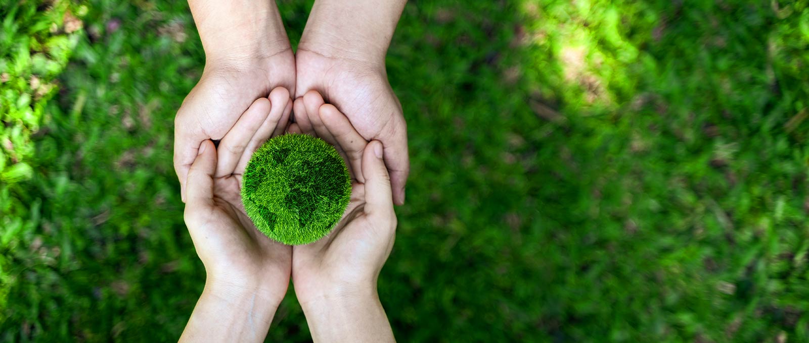 How to Reduce Carbon Footprint while Traveling