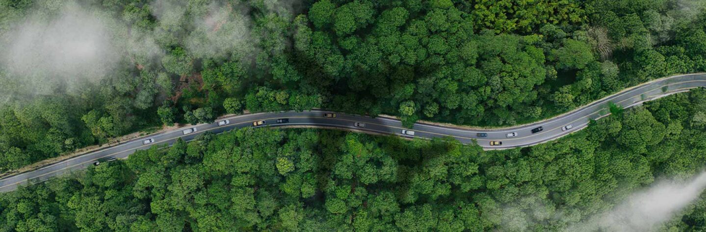 How to Reduce Carbon Footprint while Traveling