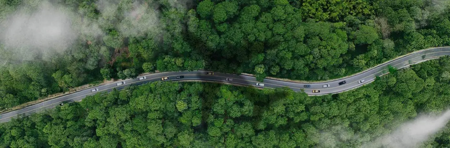 How to Reduce Carbon Footprint while Traveling