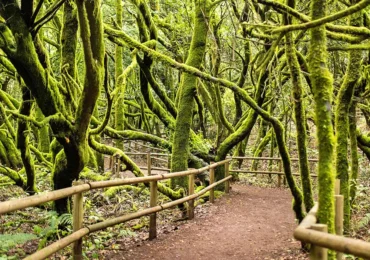 Die Kanarischen Inseln entdecken: Dein Urlaubsguide