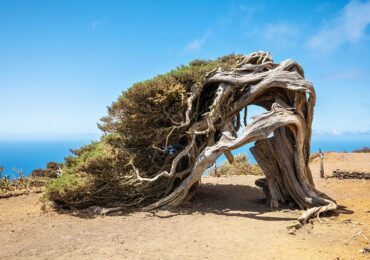 Die Kanarischen Inseln entdecken: Dein Urlaubsguide