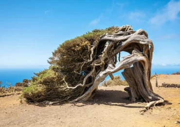 Die Kanarischen Inseln entdecken: Dein Urlaubsguide