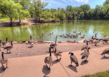 Destination of the Month: Canary Islands