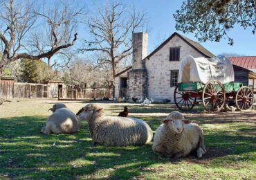 Destination of the Month: Canary Islands