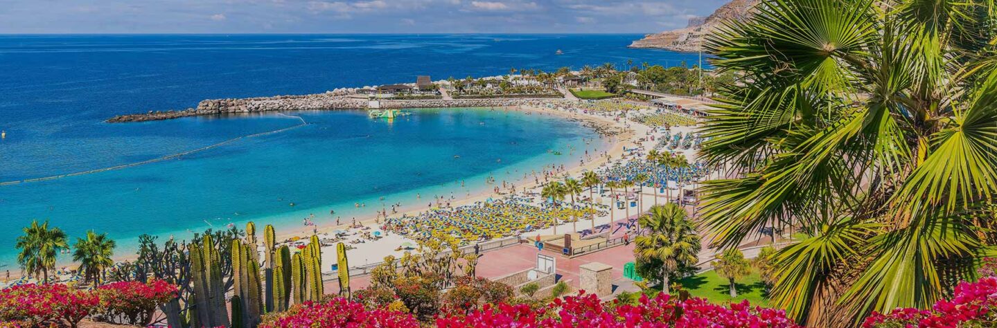 Destination of the Month: Canary Islands