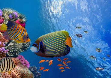 Hurghada’ya Ne Zaman Gidilir?