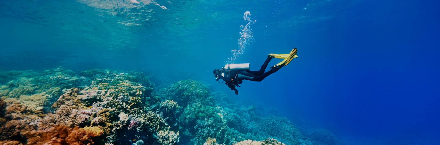 Sharm El Sheikh’te Dalış ile İlgili Bilinmesi Gerekenler