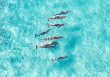 Popular Beaches in Hurghada