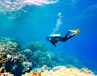Sharm El Sheikh’te Dalış ile İlgili Bilinmesi Gerekenler