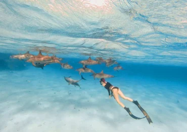 Ayın Destinasyonu: Marsa Alam