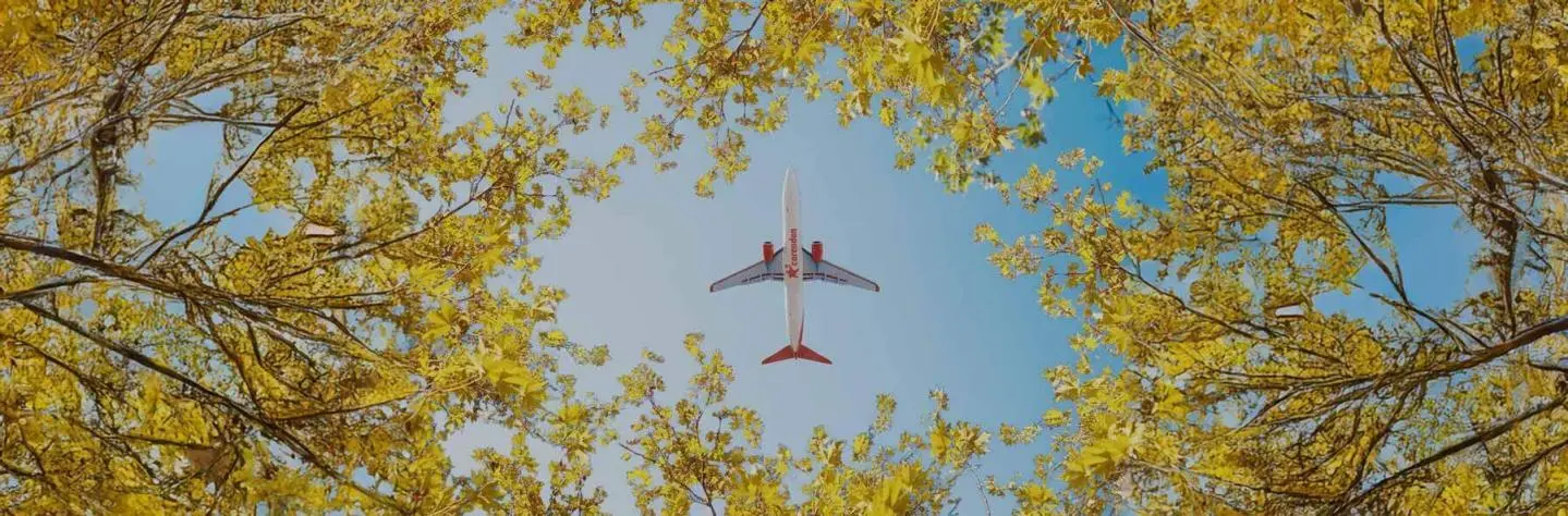 Plane Landing Explained: Steps, Systems, and Secrets