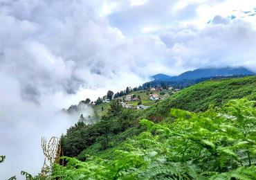 What Is Ecotourism?