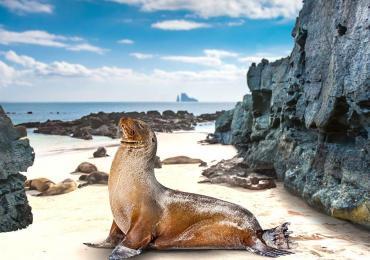 What Is Ecotourism?