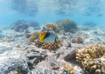 En Popüler Hurghada Plajları