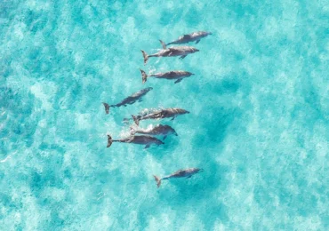 En Popüler Hurghada Plajları