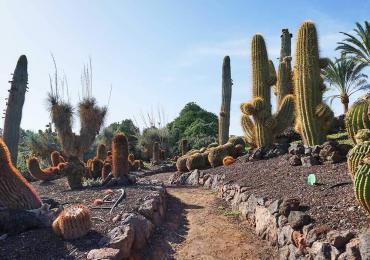 Las Palmas: Sehenswürdigkeiten und Hotspots