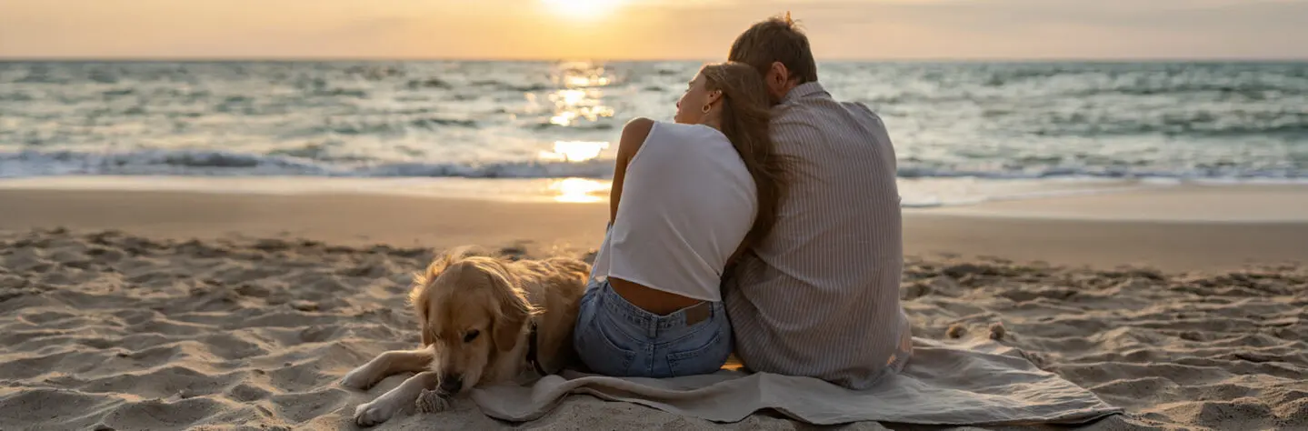 Flying with a dog: How to travel with your pet