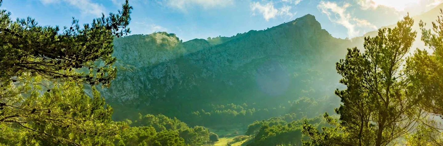 Wandern auf Mallorca: Die schönsten Routen