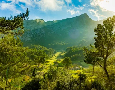 Wandern auf Mallorca: Die schönsten Routen