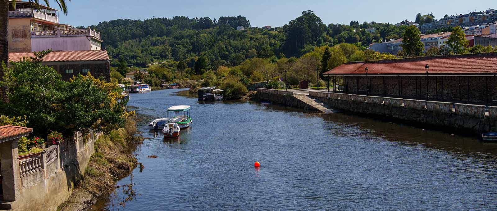 Walking the Camino de Santiago