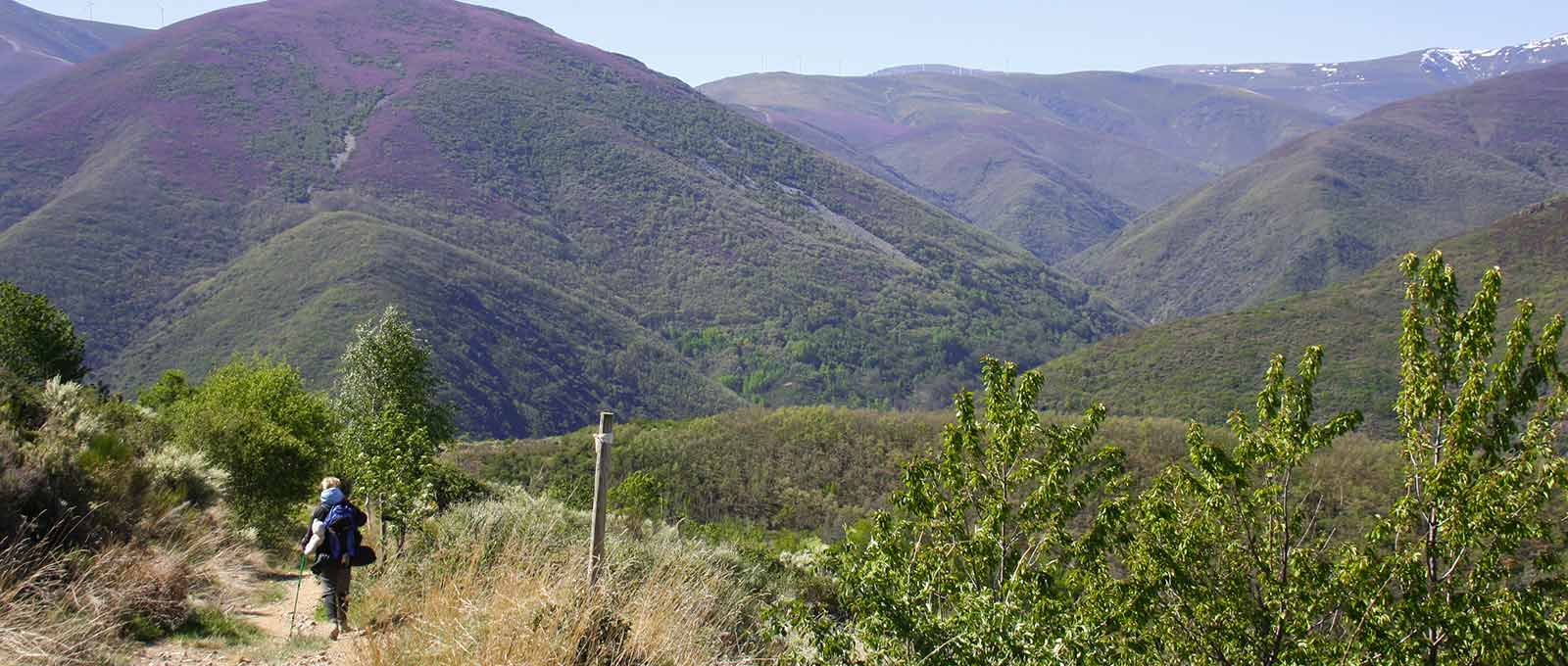 Walking the Camino de Santiago