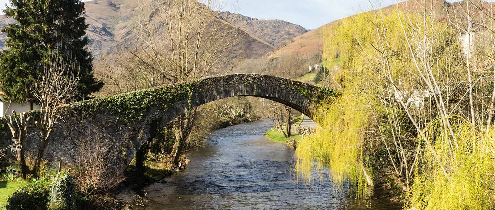 Walking the Camino de Santiago